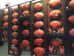 龙海鲜螃蟹王-龙海鲜螃蟹王(宏茂桥店)