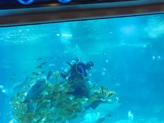 -石家庄海洋公园