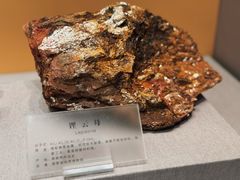 -湖南省地质博物馆