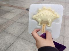 -中华恐龙园