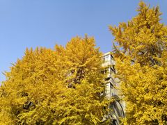 -四川大学(华西校区)