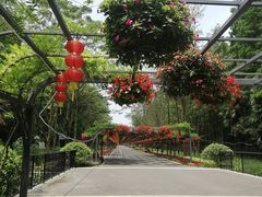 -东平国家森林公园