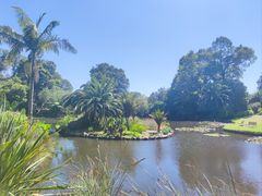 -墨尔本皇家植物园