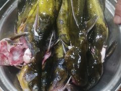 -山城家常菜铁锅炖鱼