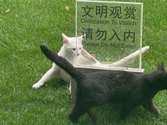 -静安公园(静安寺街道)