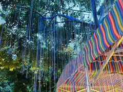 -齐轩居私房特色菜(光荣北路店)