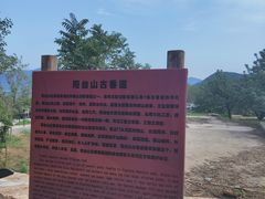 -阳台山自然风景区