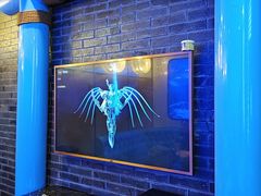 -锦凤凰量贩KTV(劳动南路店)