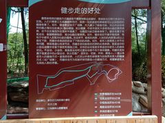 -云岗森林公园