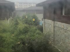 -咸宁太乙国际温泉度假村