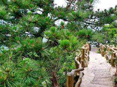 -罗田天堂寨风景区
