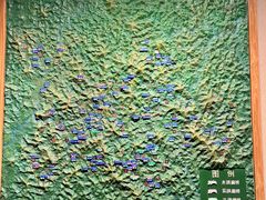 -中国庆元廊桥博物馆