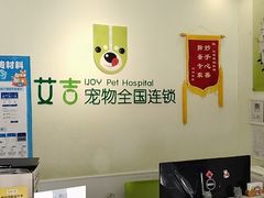 -艾吉宠物医院·疑难杂症转诊中心·猫友好(碧江路院)