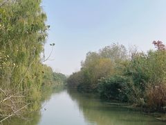 -溱湖国家湿地公园