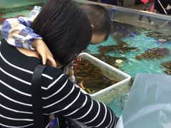 -盒马鲜生(宝地店)