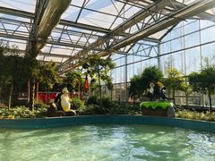 -南宫五洲植物乐园