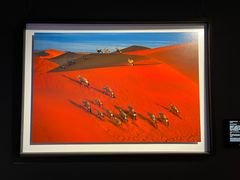 -罗红摄影艺术馆