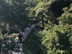 -崂山仰口游览区