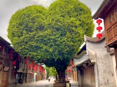 -三坊七巷历史文化街区