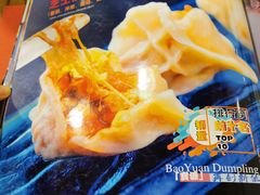 -宝源饺子(麦子店街店)
