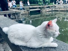 -西园寺素食(西园弄戒幢律寺店)