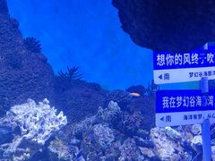 -横店广州街·香港街