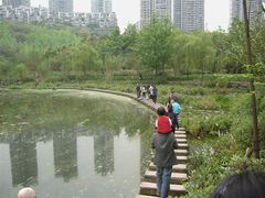 -重庆彩云湖湿地公园