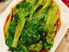 生菜-新疆伊宁远征餐厅