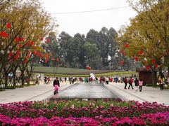 -天府芙蓉园