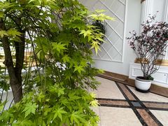 -海鲜码头·中国菜