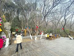 -天目湖山水园