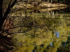 -长白岛森林公园