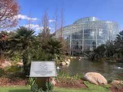 -昆明植物园