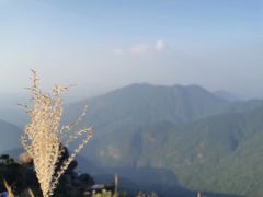 -银瓶嘴森林公园