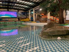 -南宫温泉水世界