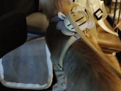 -Nirvana Cafe&Bar(北仓文创街区店)