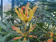 -国家植物园南园