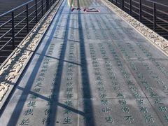 -龙口南山旅游景区