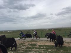 -青海湖国家重点风景名胜区