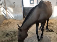 -平湖九龙山旅游度假区