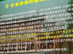 -甘家界柠檬鸭店(高峰林场店)