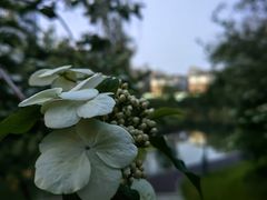 -四里河滨水生态公园