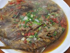 -全乐鱼馆·淳牌有机鱼直营店