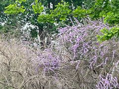 -天津自然博物馆