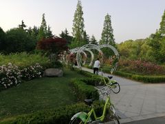 -昆山城市生态森林公园