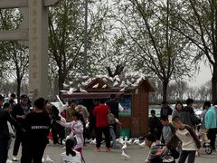 -天津妈祖文化园