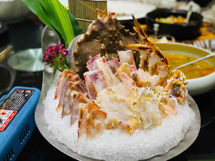 大气老板请客吃饭莫图鲁尼我负责点菜