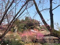 -老桂湖公园-杨升庵博物馆