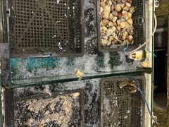 -东城食府·手工点心·37年老字号(虎门店)