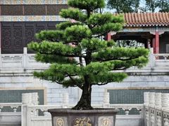 -广东圆玄道观